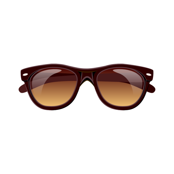 Brown Framed Sunglasses